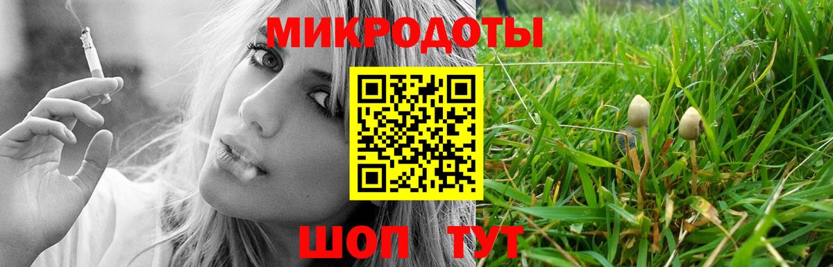 Гусев  Псилоцибиновые грибы Psilocybe  Вход с VPN  где купить наркотик  Псилоцибиновые грибы Psilocybine cubensis 